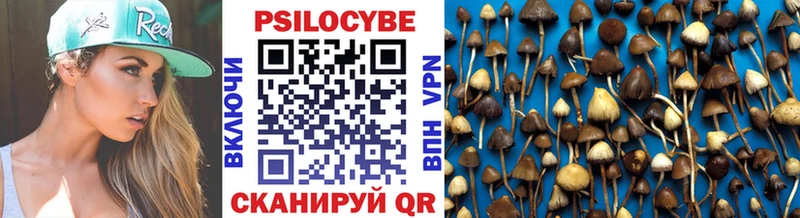 Псилоцибиновые грибы Psilocybe  Чехов 